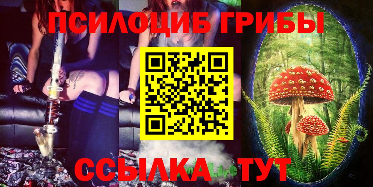 Ейск  Галлюциногенные грибы MAGIC MUSHROOMS  Вход с VPN  Галлюциногенные грибы Cubensis 