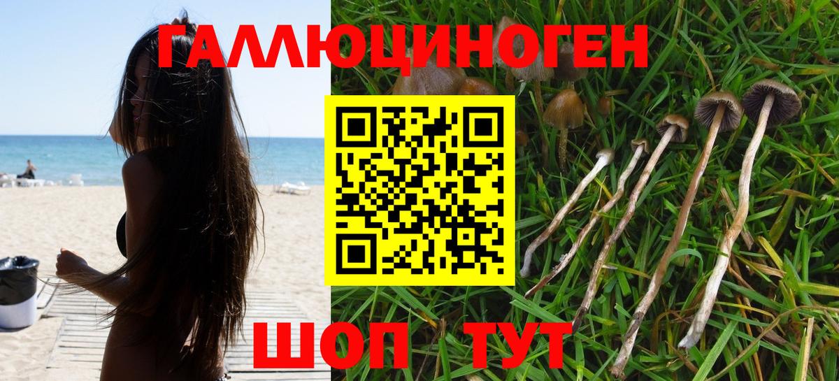 Галлюциногенные грибы прущие грибы Ейск